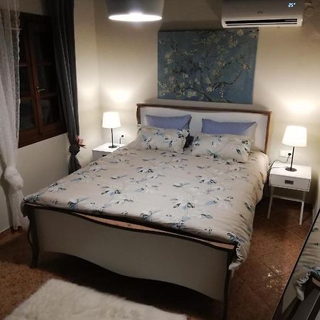 Endless View Country House Makrinitsa Bagian luar foto