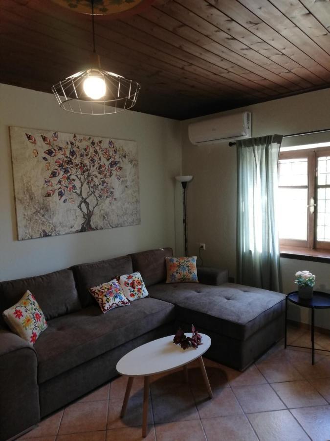 Endless View Country House Makrinitsa Bagian luar foto