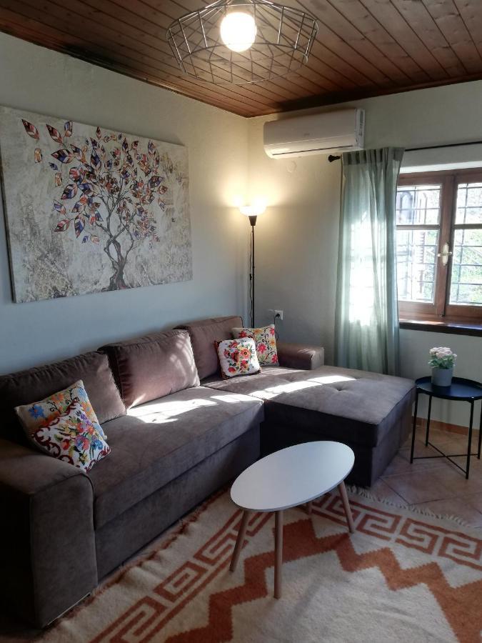 Endless View Country House Makrinitsa Bagian luar foto